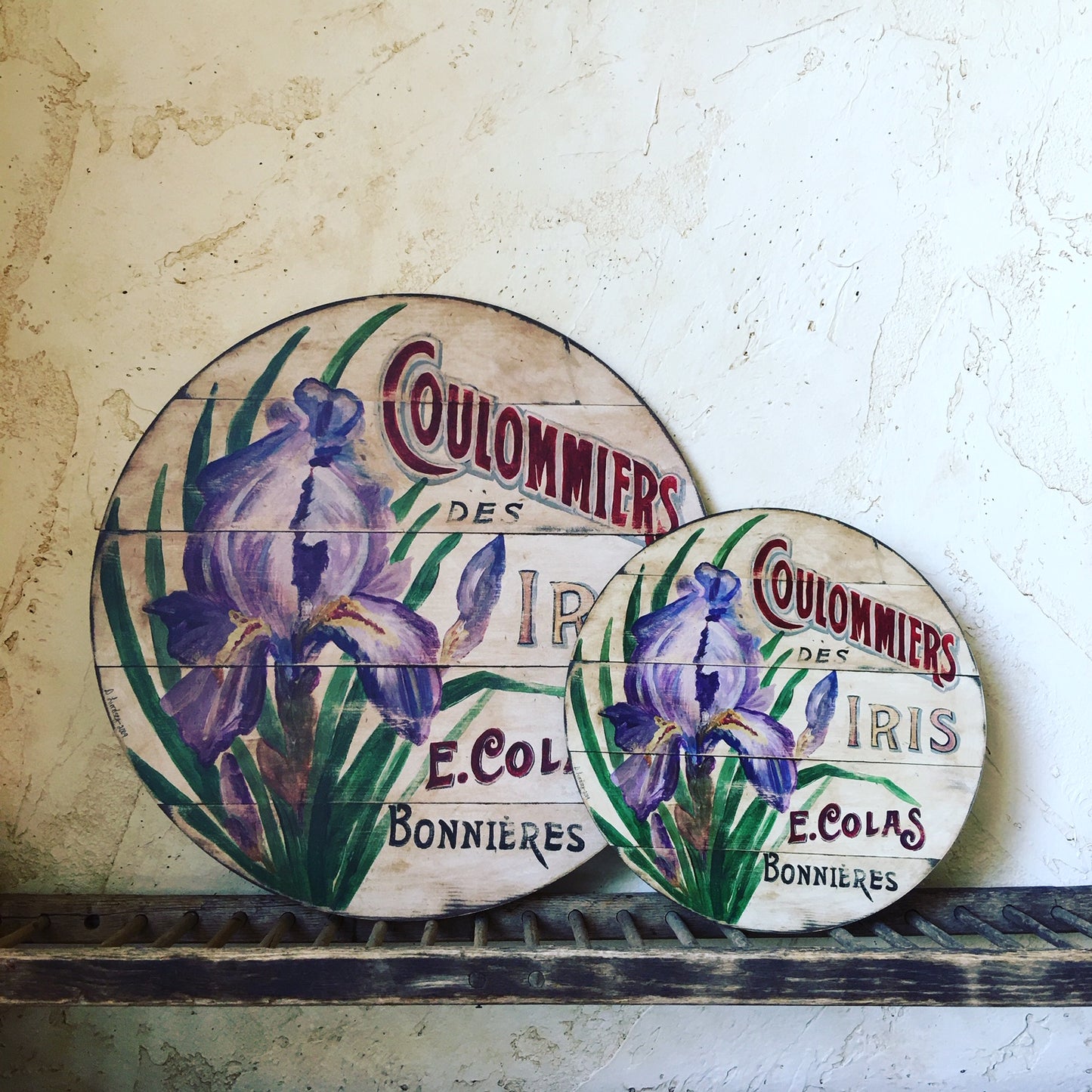 Purple Iris on cream Wall Art