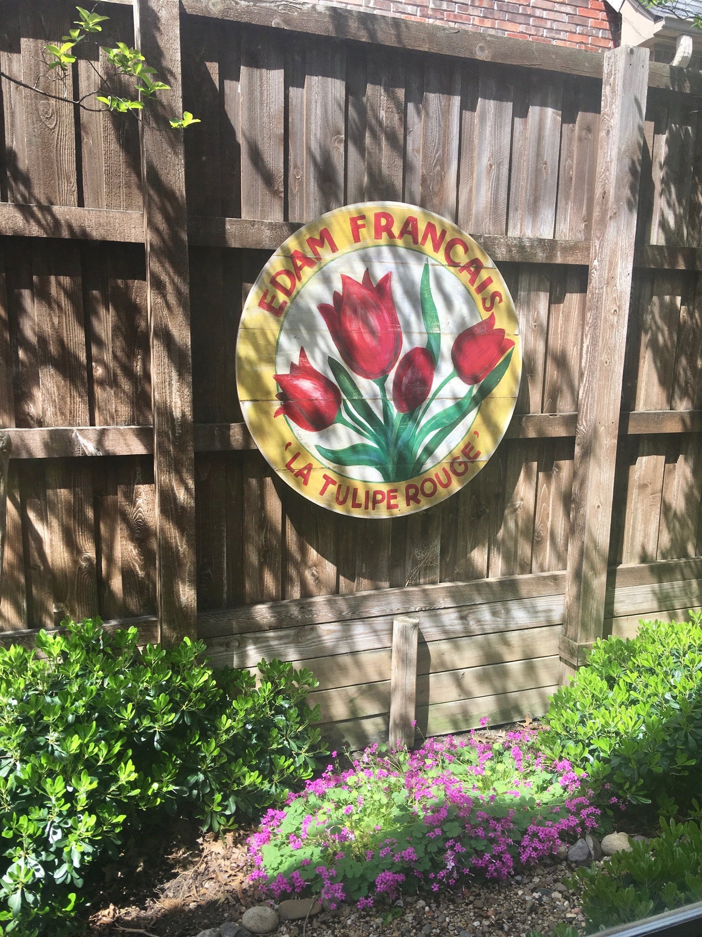 Red Tulip with Yellow border 46" art on wood