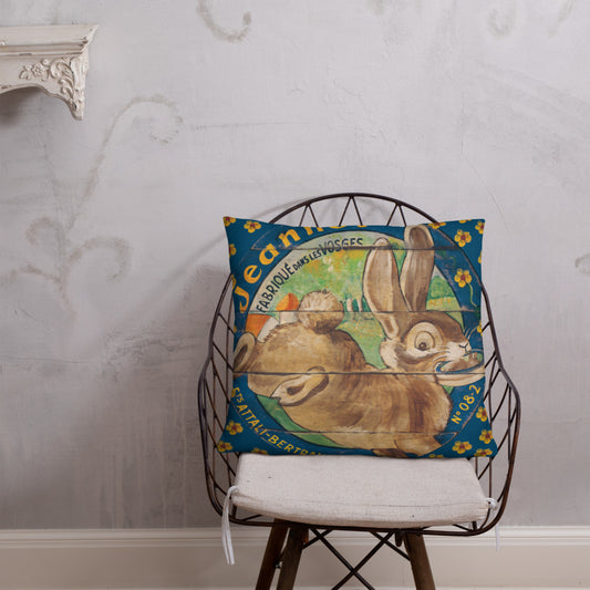 22 x 22 Brown Rabbit & Flowers Throw Pillow