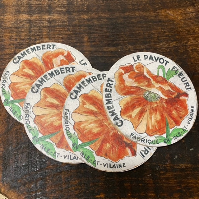 Orange Poppy cream background Coasters (set of 4)